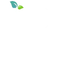 株式会社レイズ