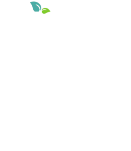 株式会社レイズ